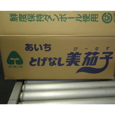 幸田町産「とげなし美茄子」 5kg | なす ナス 茄子 野菜 ※11月～6月に順次発送予定