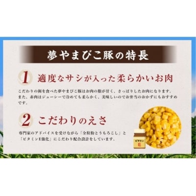 「夢やまびこ豚」詰め合わせセット 1.7kg | 豚肉 肉 詰め合わせ セット トンカツ 小分け