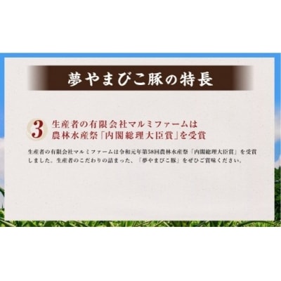 「夢やまびこ豚」詰め合わせセット 1.7kg | 豚肉 肉 詰め合わせ セット トンカツ 小分け