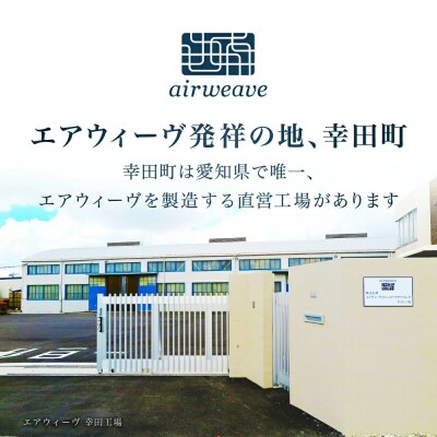 エアウィーヴ 02 セミダブル 