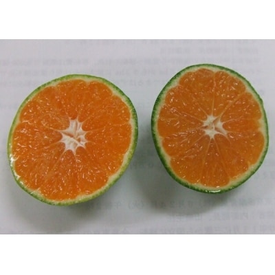 《数量限定》幸田町産「グリーンハウスみかん 2kg化粧箱」 