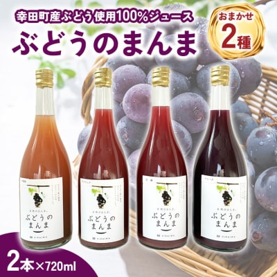 幸田町産ぶどう使用100%ジュース 2種詰め合わせ (720ml × 2本)
