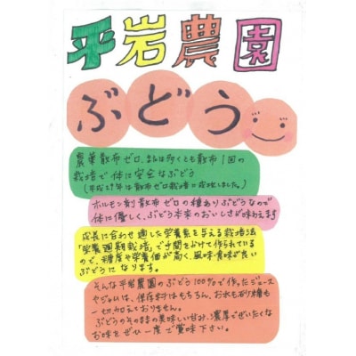 幸田町産ぶどう使用100%ジュース 2種詰め合わせ (720ml × 2本)