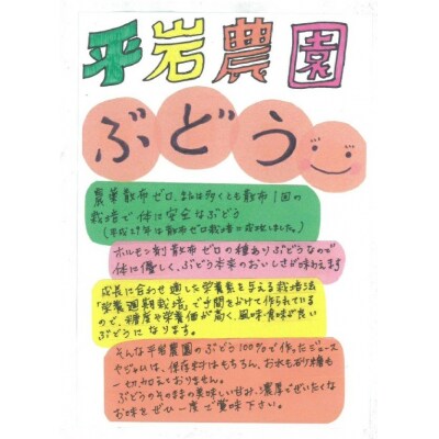 幸田町産ぶどう使用100%ジュース 2種詰め合わせ (720ml × 2本)