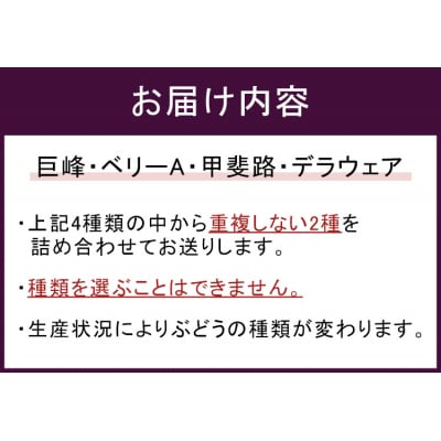 幸田町産ぶどう使用100%ジュース 2種詰め合わせ (720ml × 2本)
