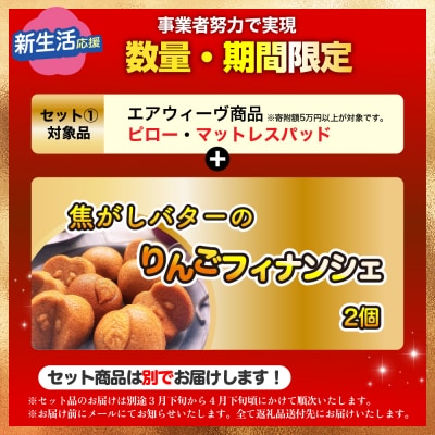 【期間限定 新生活応援セット】【3営業日以内に発送】エアウィーヴ スマート01 ( シングル )