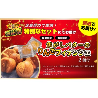 【期間限定 幸田町大感謝祭】エアウィーヴ スマート01 ( ダブル サイズ ) 