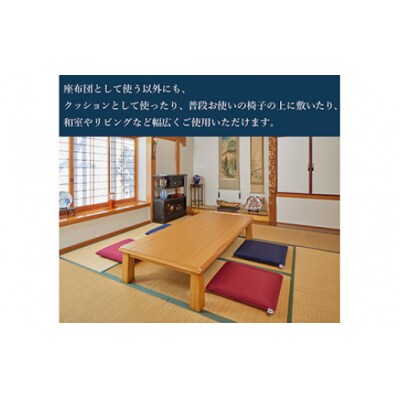 エアウィーヴ　座布団 大(銘仙判)ネイビー　(幸田町寄付管理番号2104)