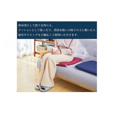 エアウィーヴ　座布団 ネイビー　(幸田町寄付管理番号2104)