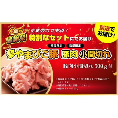 【期間限定 幸田町大感謝祭】エアウィーヴ 四季布団 ( シングル サイズ ) 