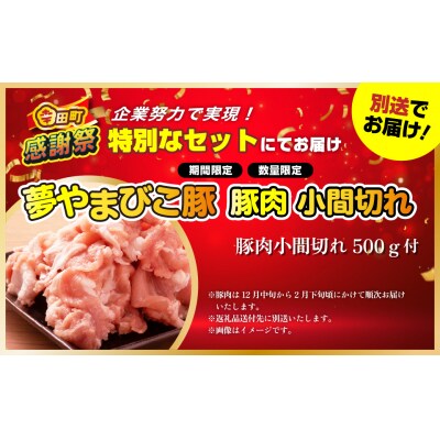 【期間限定 幸田町大感謝祭】エアウィーヴ 四季布団 ( セミダブル サイズ ) 