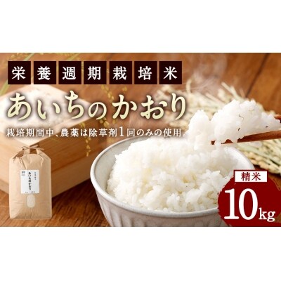 幸田町産「栄養週期栽培米」あいちのかおり 10kg 白米 精米 お米
