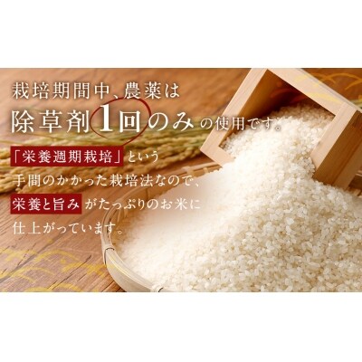 幸田町産「栄養週期栽培米」あいちのかおり 10kg 白米 精米 お米