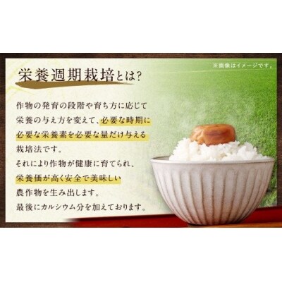 幸田町産「栄養週期栽培米」あいちのかおり 10kg 白米 精米 お米