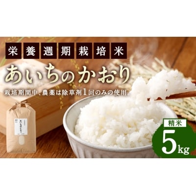 幸田町産「栄養週期栽培米」あいちのかおり 5kg 白米 精米 お米
