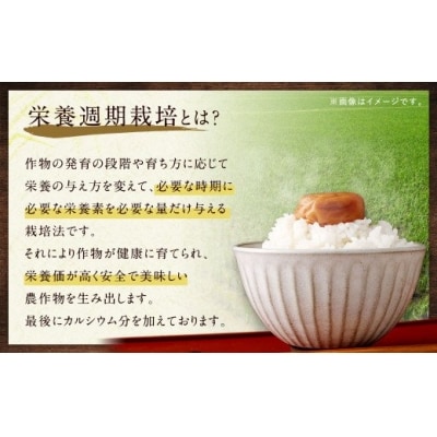 幸田町産「栄養週期栽培米」あいちのかおり 5kg 白米 精米 お米
