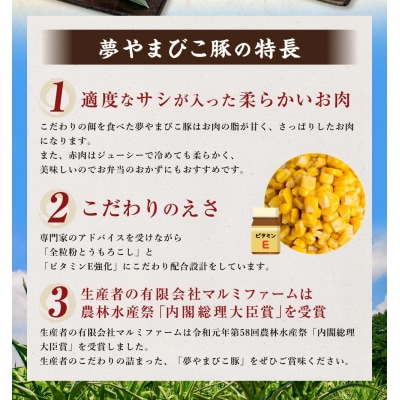 「夢やまびこ豚」厳選バラエティパック 1.0kg | 豚肉 肉 詰め合わせ セット トンカツ 小分け