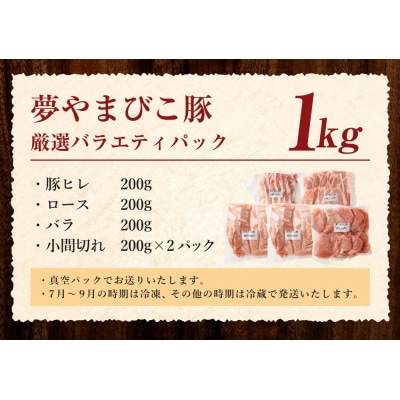 「夢やまびこ豚」厳選バラエティパック 1.0kg | 豚肉 肉 詰め合わせ セット トンカツ 小分け