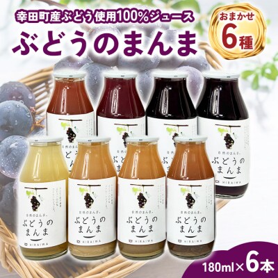 幸田町産ぶどう使用(無添加、無糖、無加水)100%ジュース 多種類 6本詰め合わせ 180ml×6本
