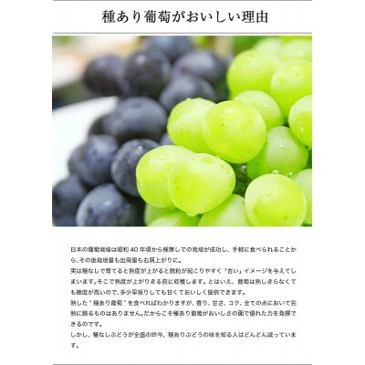 幸田町産ぶどう使用(無添加、無糖、無加水)100%ジュース 多種類 6本詰め合わせ 180ml×6本