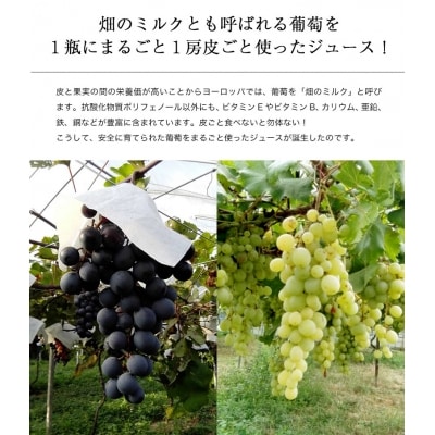 幸田町産 ぶどう使用 100%ジュース   6本詰め合わせ (無添加 無糖 無加水)