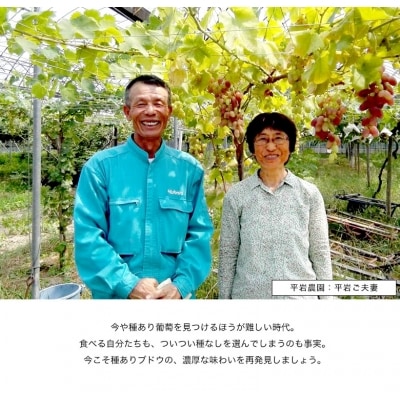 幸田町産 ぶどう使用 100%ジュース   6本詰め合わせ (無添加 無糖 無加水)