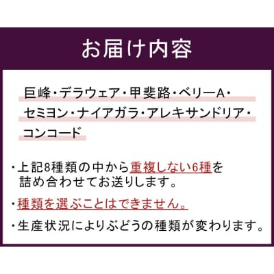 幸田町産ぶどう使用(無添加、無糖、無加水)100%ジュース 多種類 6本詰め合わせ 180ml×6本