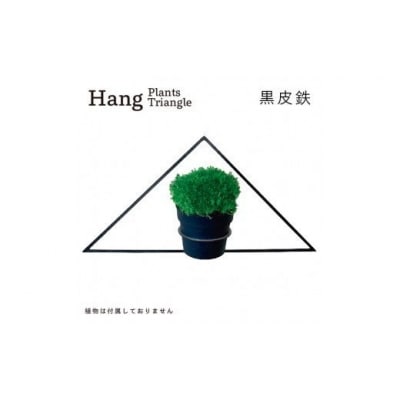 GRAVIRoN Hang Plants シリーズ Triangle　 黒皮鉄(プランツハンガー)