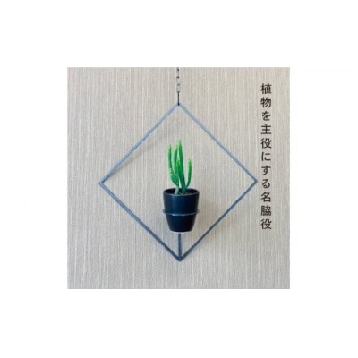 GRAVIRoN Hang Plants シリーズ Diamond 　黒皮鉄(プランツハンガー)