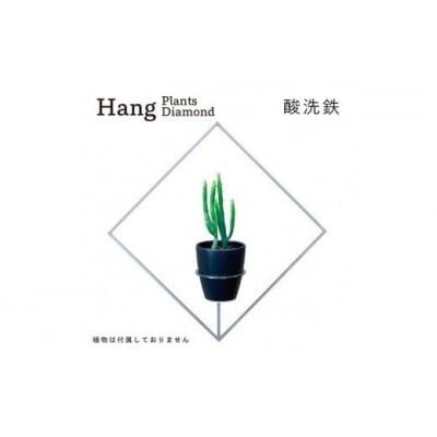 GRAVIRoN Hang Plants シリーズ Diamond　 酸洗鉄(プランツハンガー)