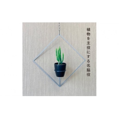 GRAVIRoN Hang Plants シリーズ Diamond　 酸洗鉄(プランツハンガー)