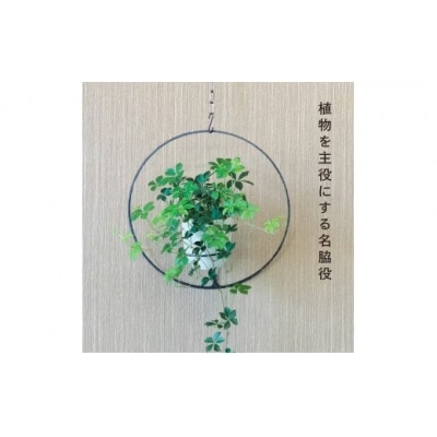 GRAVIRoN Hang Plants シリーズ Round　 黒皮鉄(プランツハンガー)