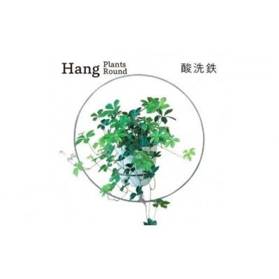 GRAVIRoN Hang Plants シリーズ Round　 酸洗鉄(プランツハンガー)