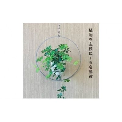 GRAVIRoN Hang Plants シリーズ Round　 酸洗鉄(プランツハンガー)