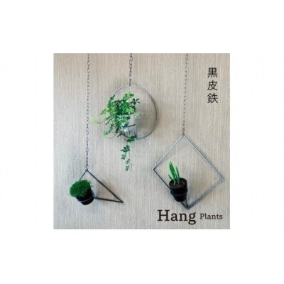 GRAVIRoN Hang Plants シリーズ セット　 黒皮鉄(プランツハンガー)
