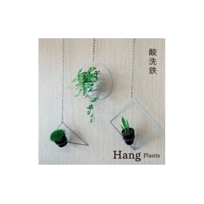 GRAVIRoN Hang Plants シリーズ セット　 酸洗鉄(プランツハンガー)