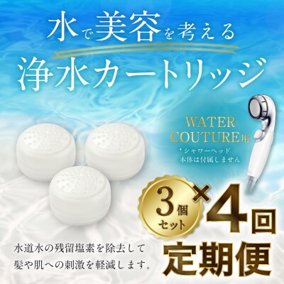 【定期便】シャワーヘッド用 浄水カートリッジ  ( 3個セット × 年4回発送 定期便 ) 