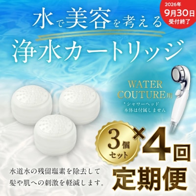 【9/30受付終了】【定期便】シャワーヘッド用 浄水カートリッジ ( 3個セット × 年4回発送 )