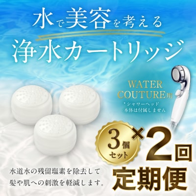 【定期便】シャワーヘッド用 浄水カートリッジ ( 3個セット × 2回発送 定期便 ) 