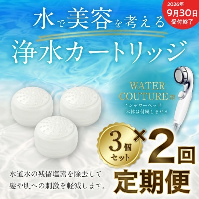 【9/30受付終了】【定期便】シャワーヘッド用 浄水カートリッジ ( 3個セット × 2回発送 )