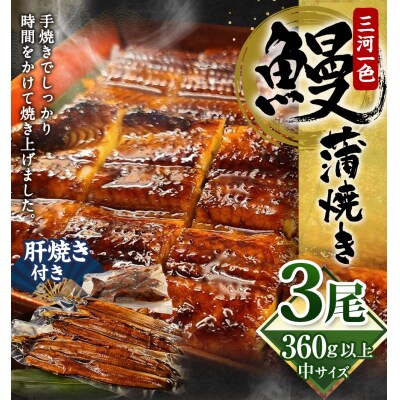 三河一色 うなぎ 蒲焼き 中3尾 (肝焼き付き)