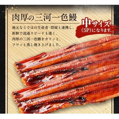 三河一色 うなぎ 蒲焼き 中2尾(肝焼き付き)