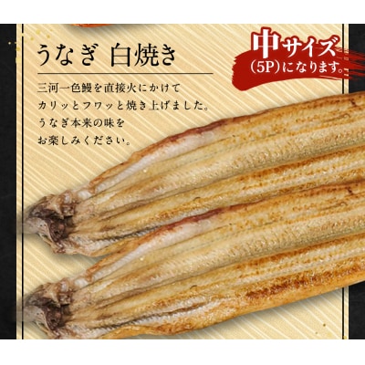 三河一色 うなぎ  かば焼き 中2尾 + 白焼き 中2尾 (肝焼き付き) 