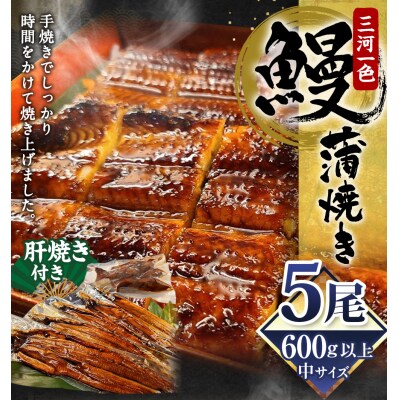 三河一色 うなぎ蒲焼き 中5尾  (肝焼き付き)