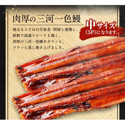 三河一色 うなぎ蒲焼き 中5尾  (肝焼き付き)