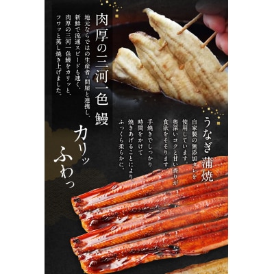 三河一色うなぎ 蒲焼大2尾 白焼き大2尾(肝焼き付き)