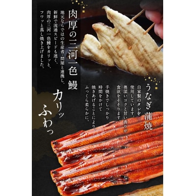 三河一色うなぎ 蒲焼大2尾 白焼き大2尾(肝焼き付き)