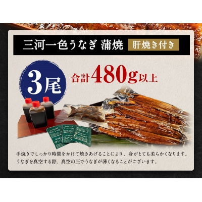 三河一色うなぎ かば焼 大3尾(肝焼き付き)