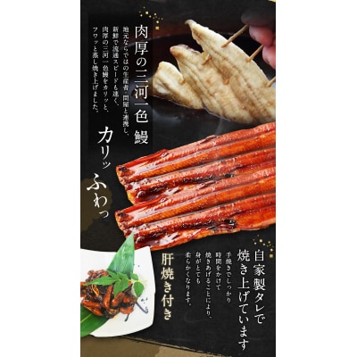 三河一色うなぎ 蒲焼  大2尾(肝焼き付き) うなぎ 蒲焼