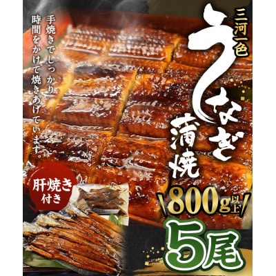 三河一色うなぎ蒲焼  大5尾 (肝焼き付き) うなぎ 蒲焼